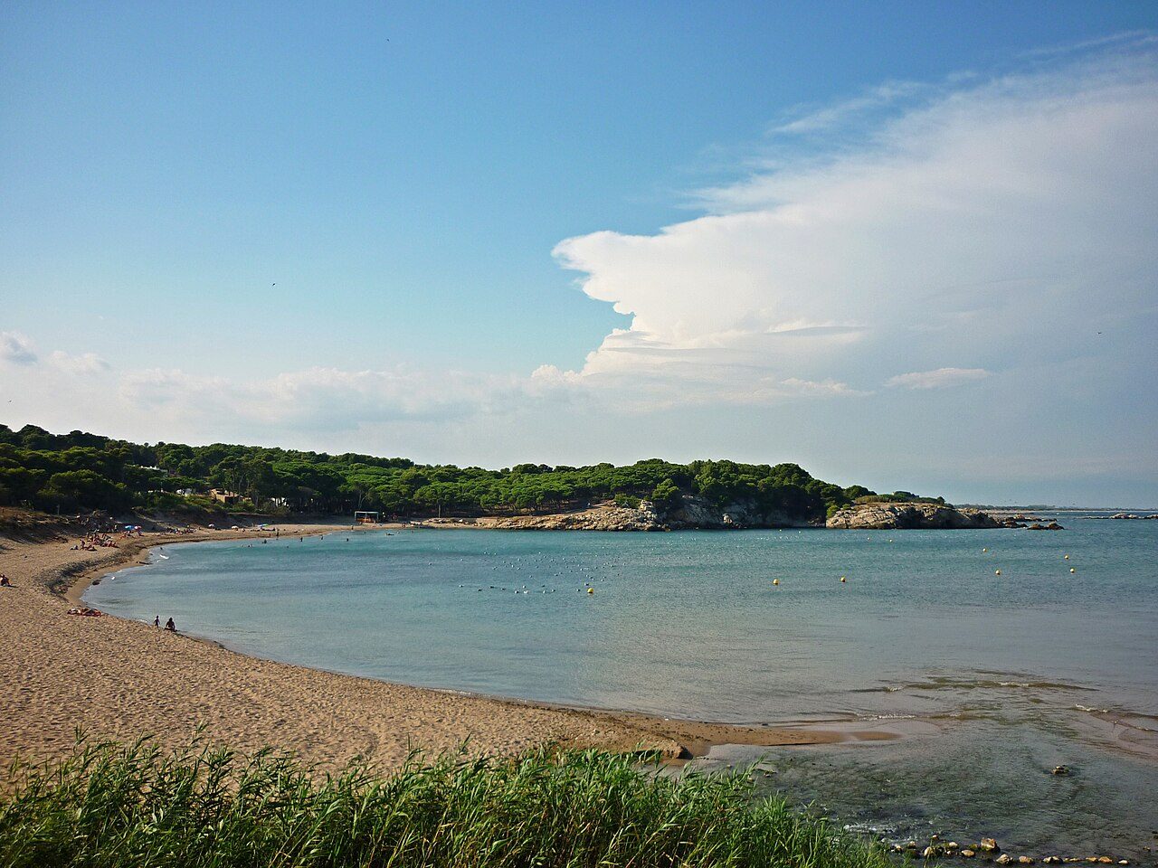 Platja del Rec del Molí