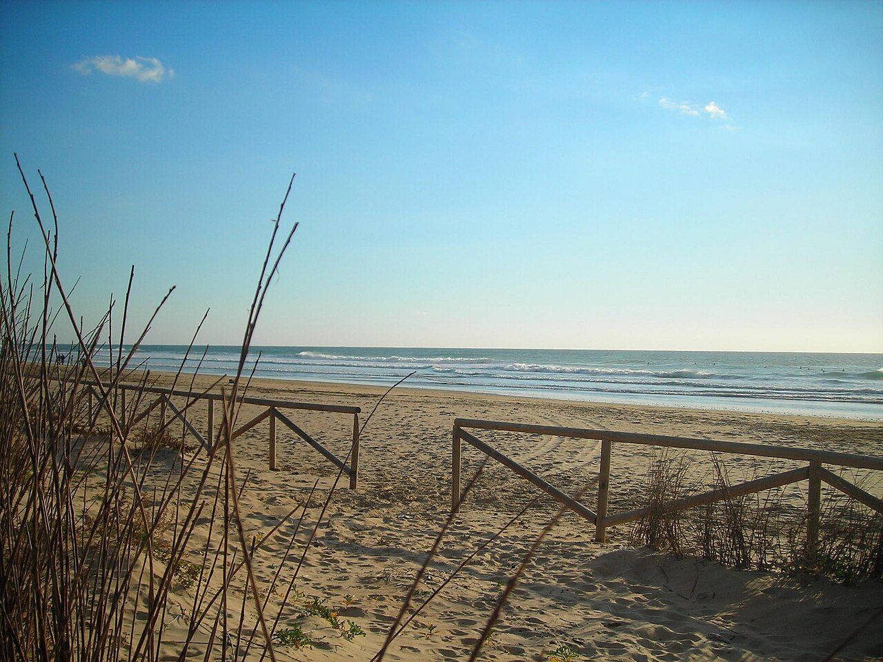 Playa el Palmar