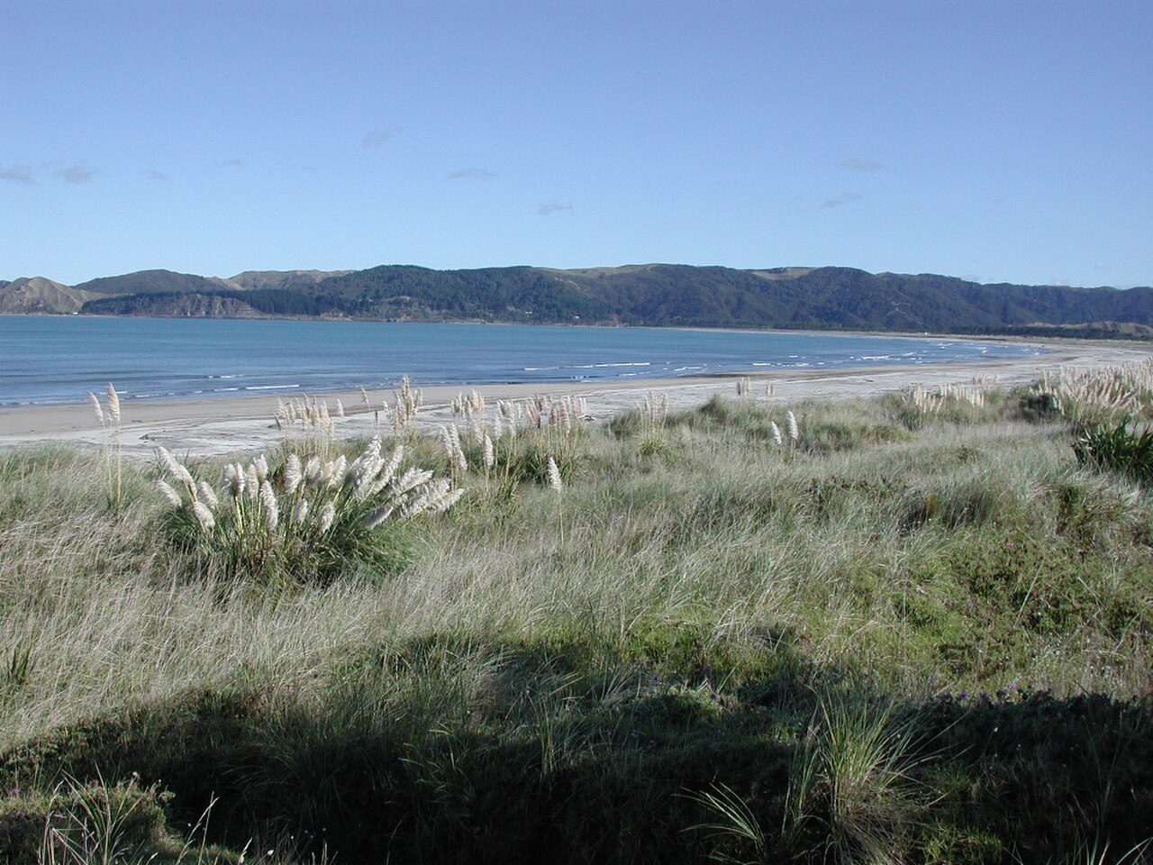 Māhia Beach