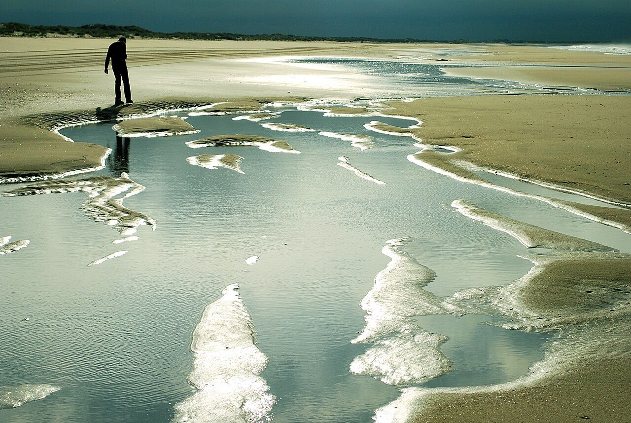 Doñana