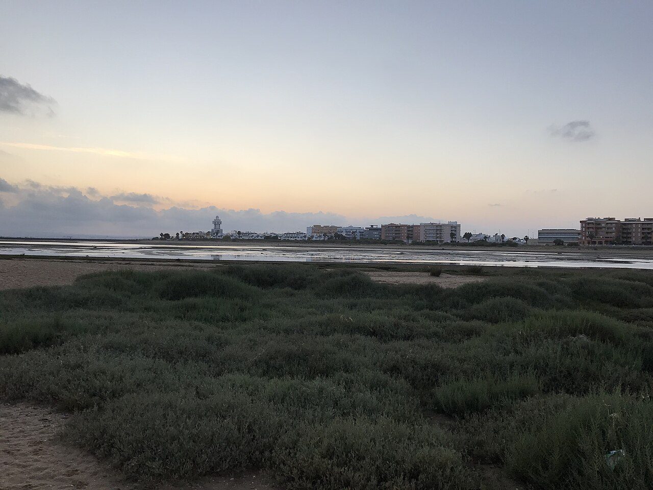 Gaviota