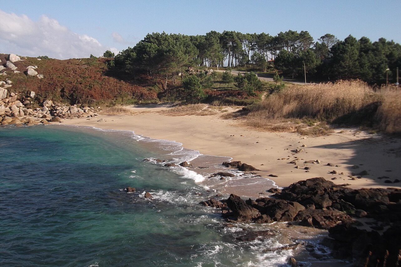 Pateiro