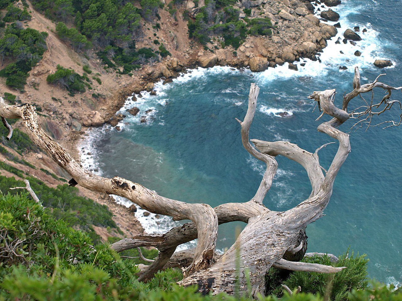 Cala Basset