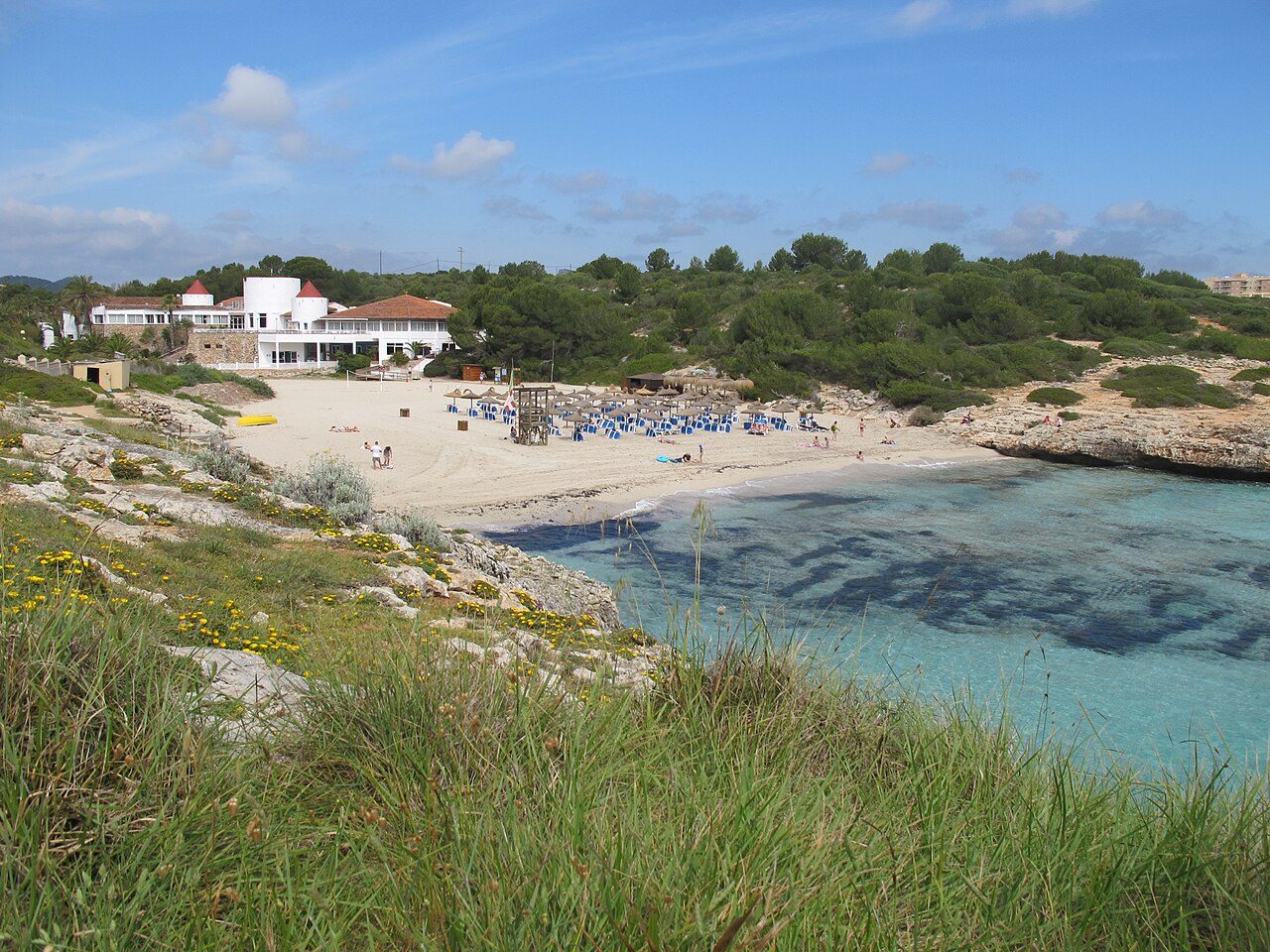 el Domingos Petit