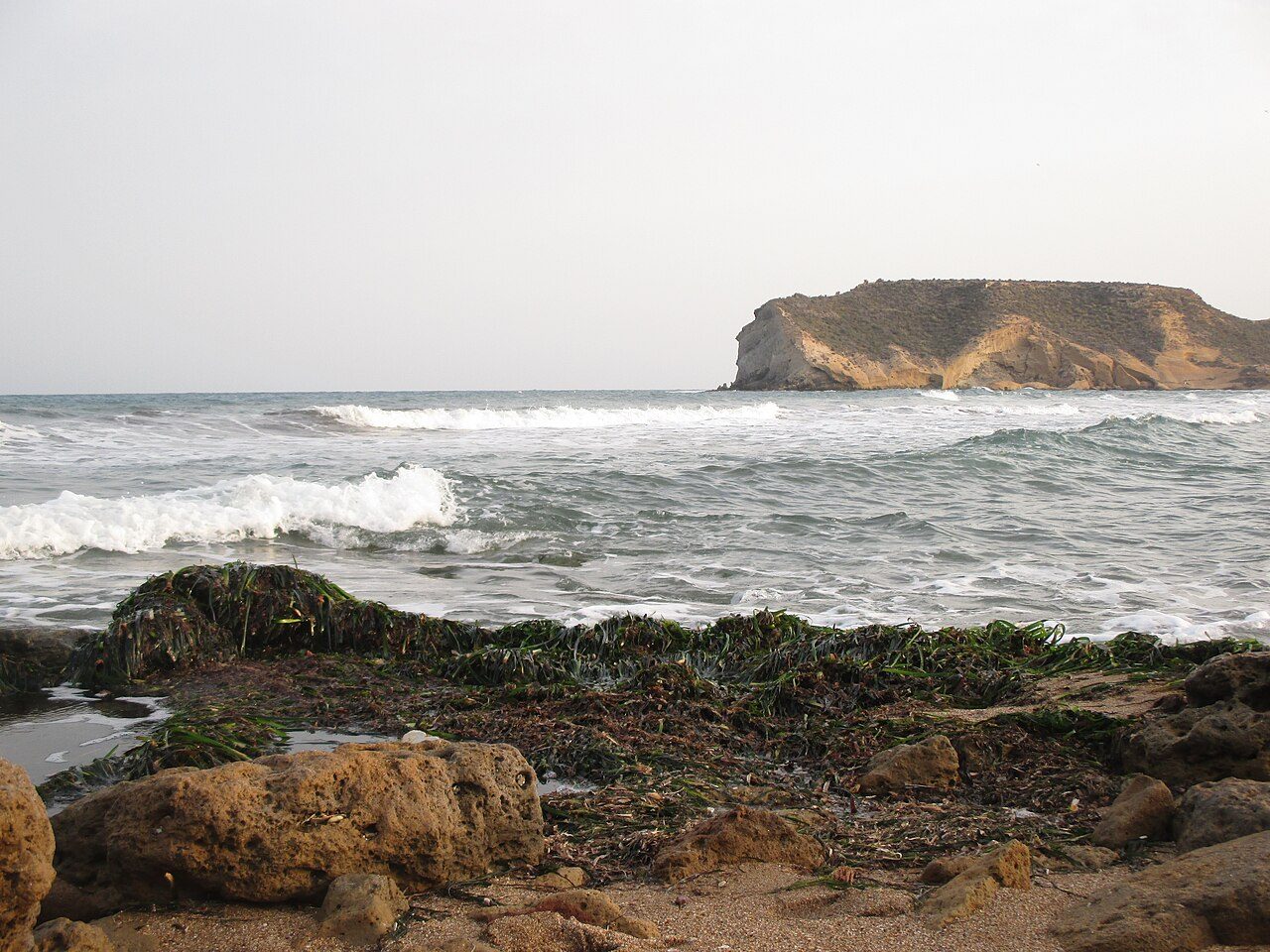 La Higuerica