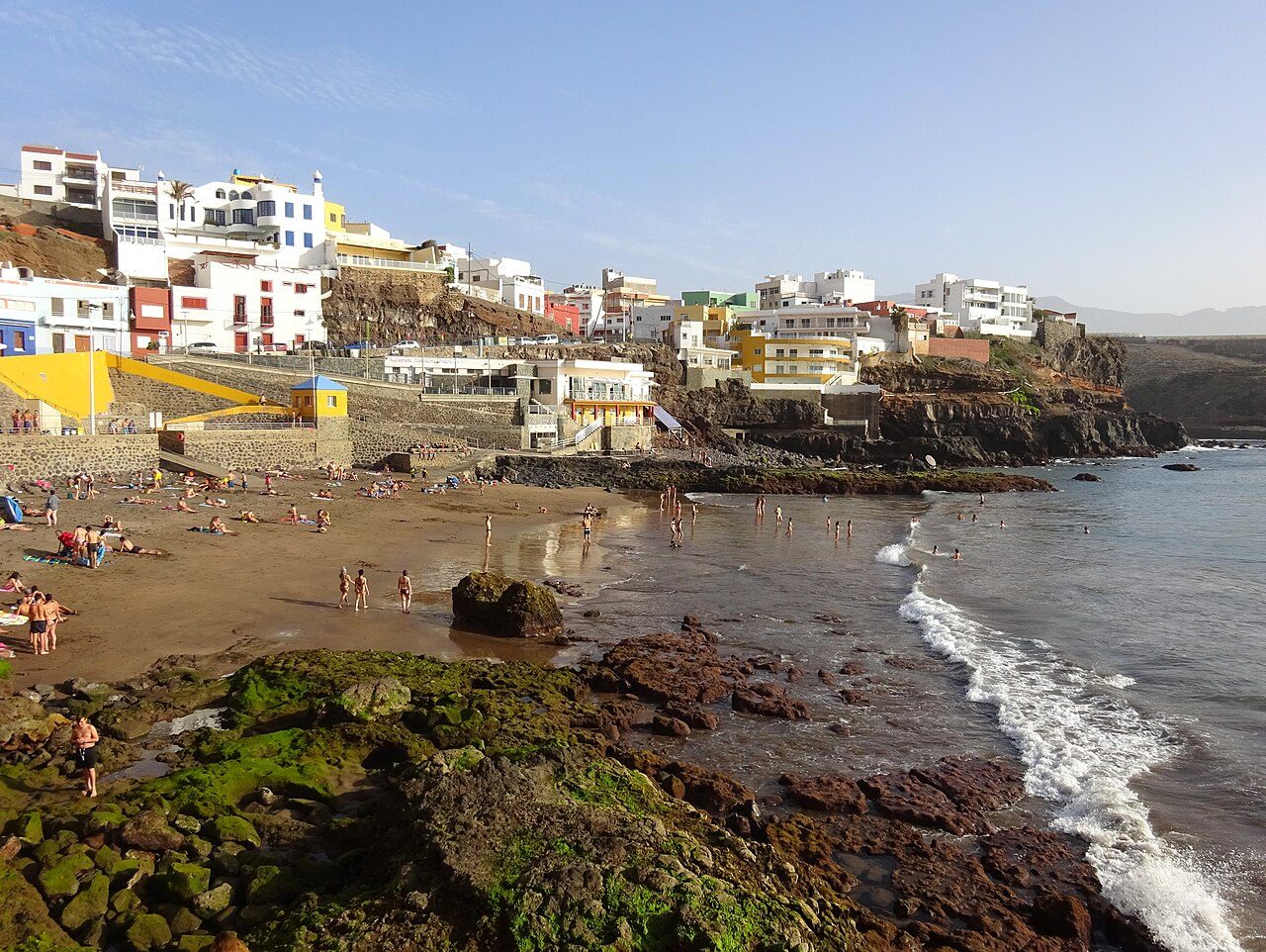 Sardina