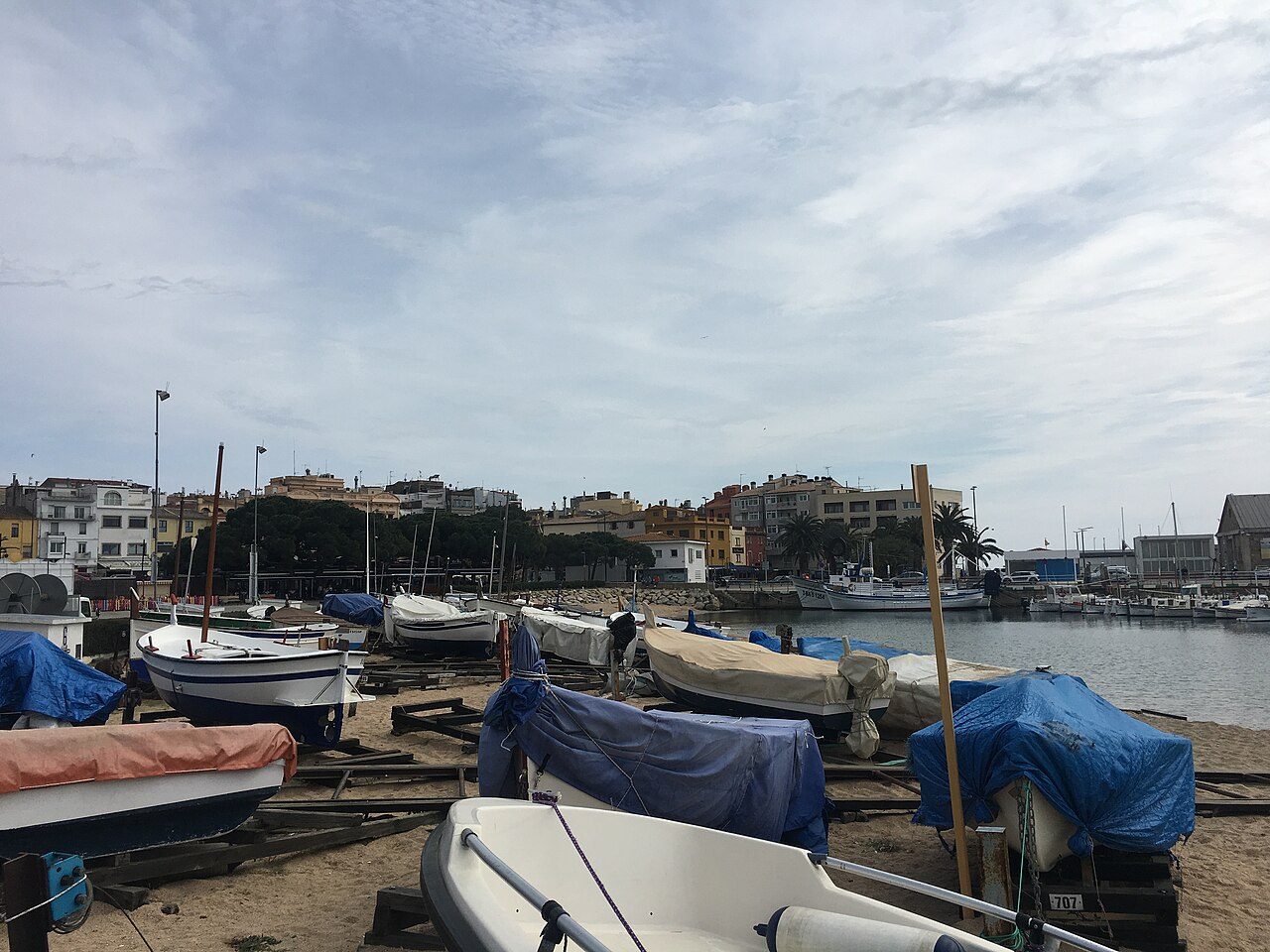 Gran de Palamós