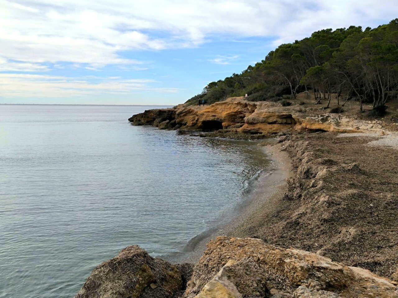 Platja de Port Olivet