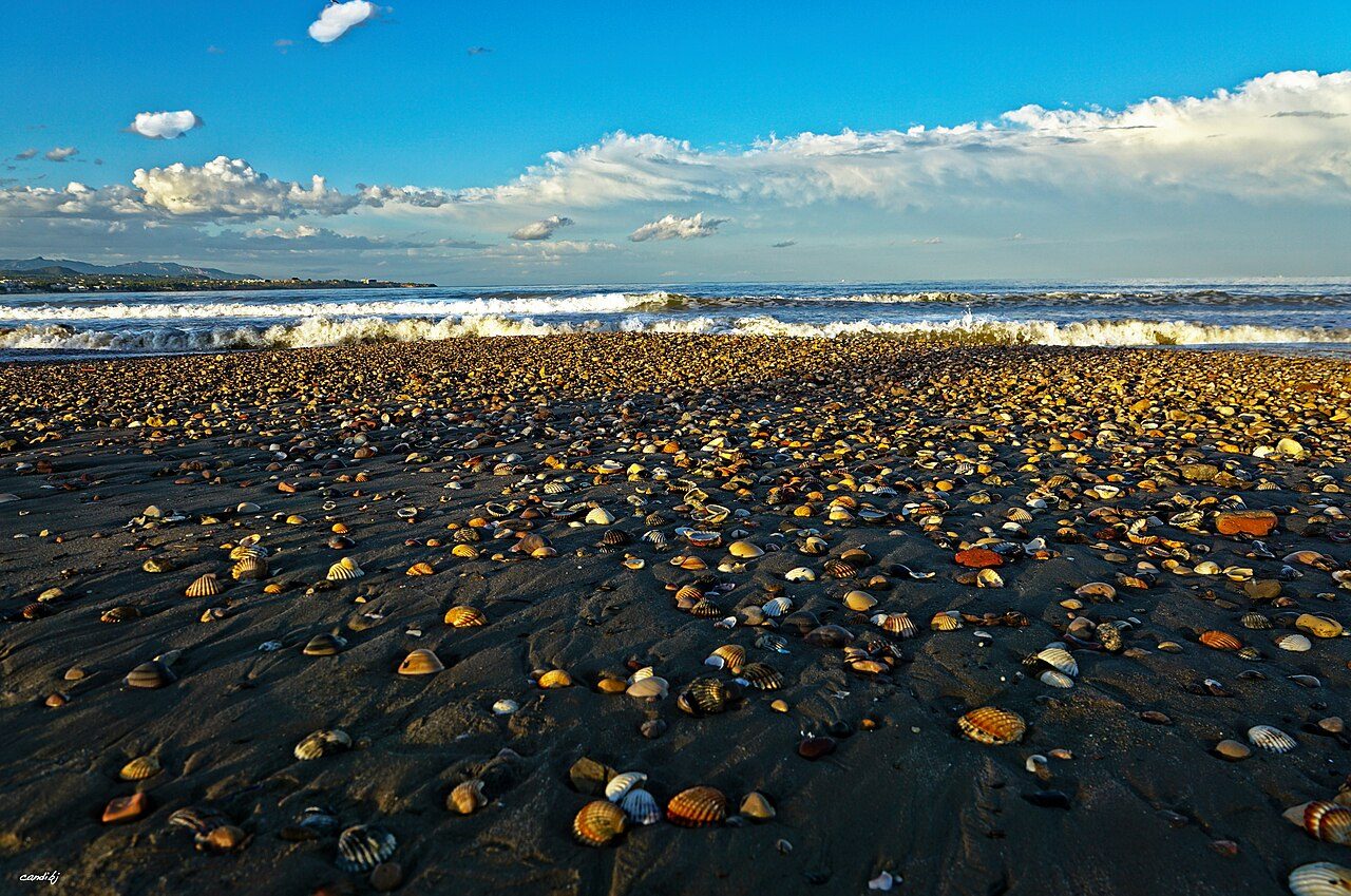 Platja de l'Arenal