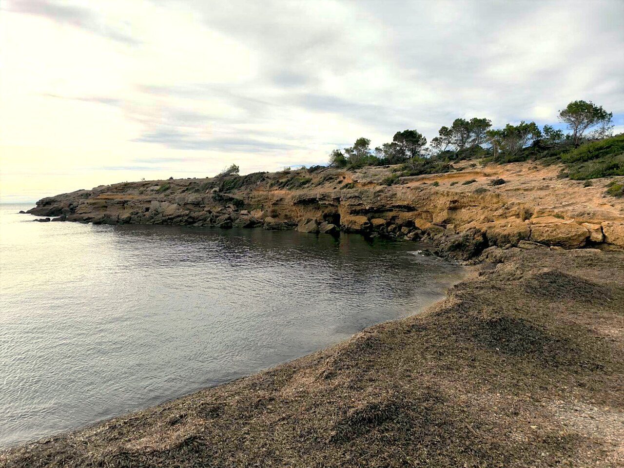 Platja de Bon Caponet