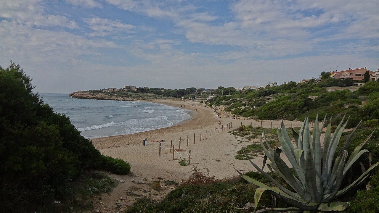 Platja de la Savinosa