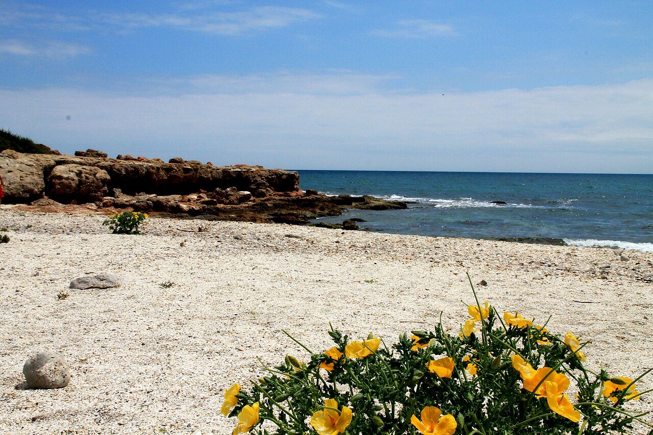 Cala de las Petxinas