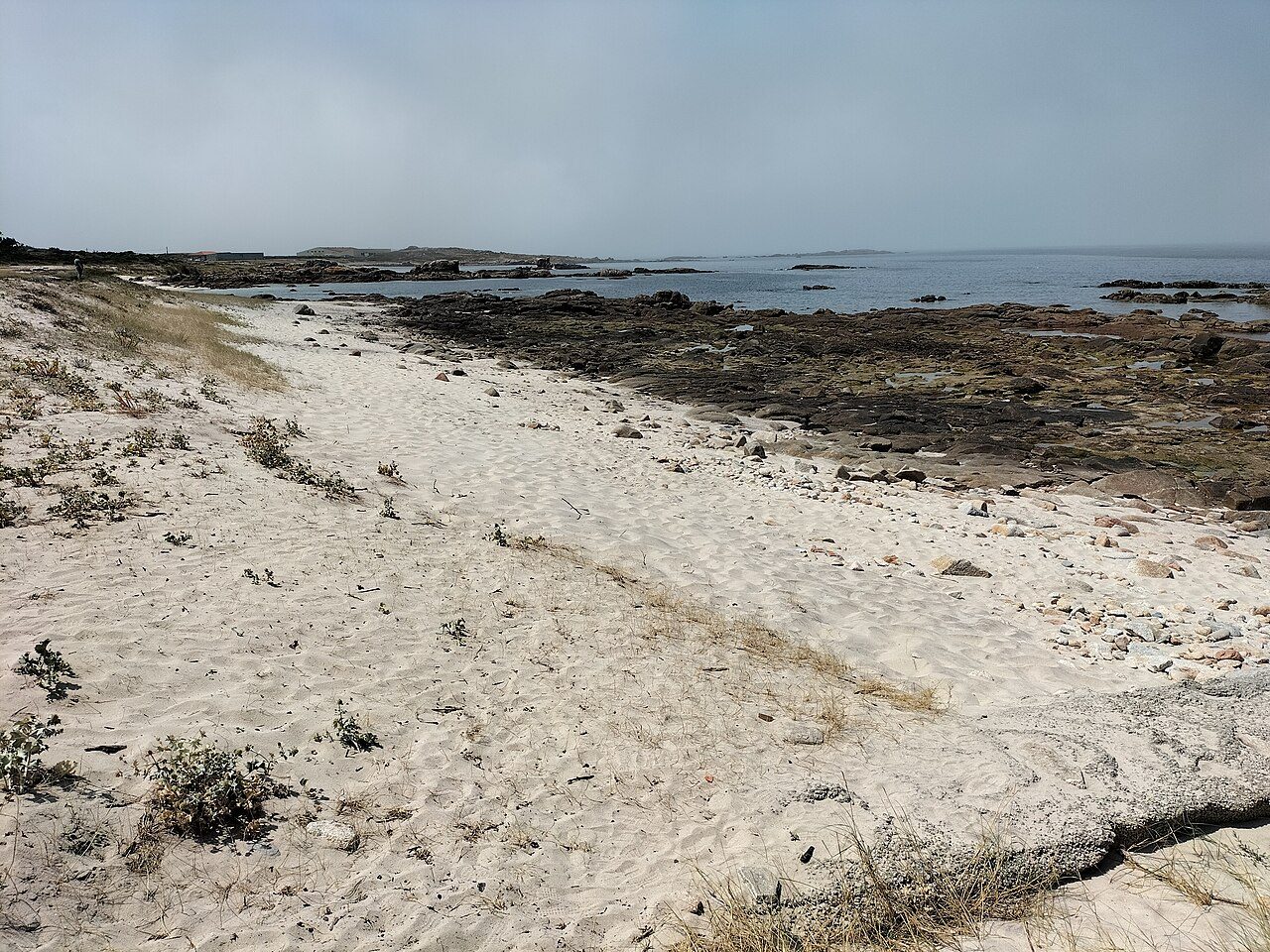Tras de Punta