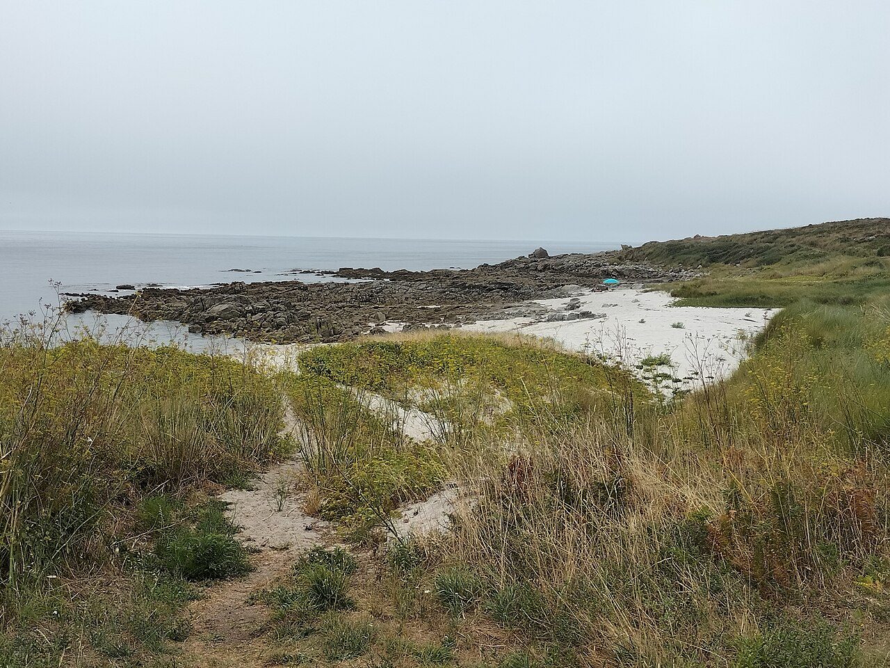 Ardeleiro