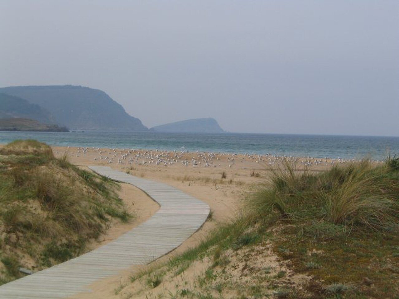 San Román