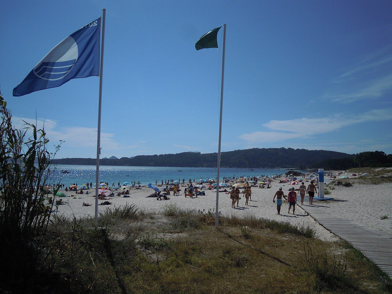 Nerga