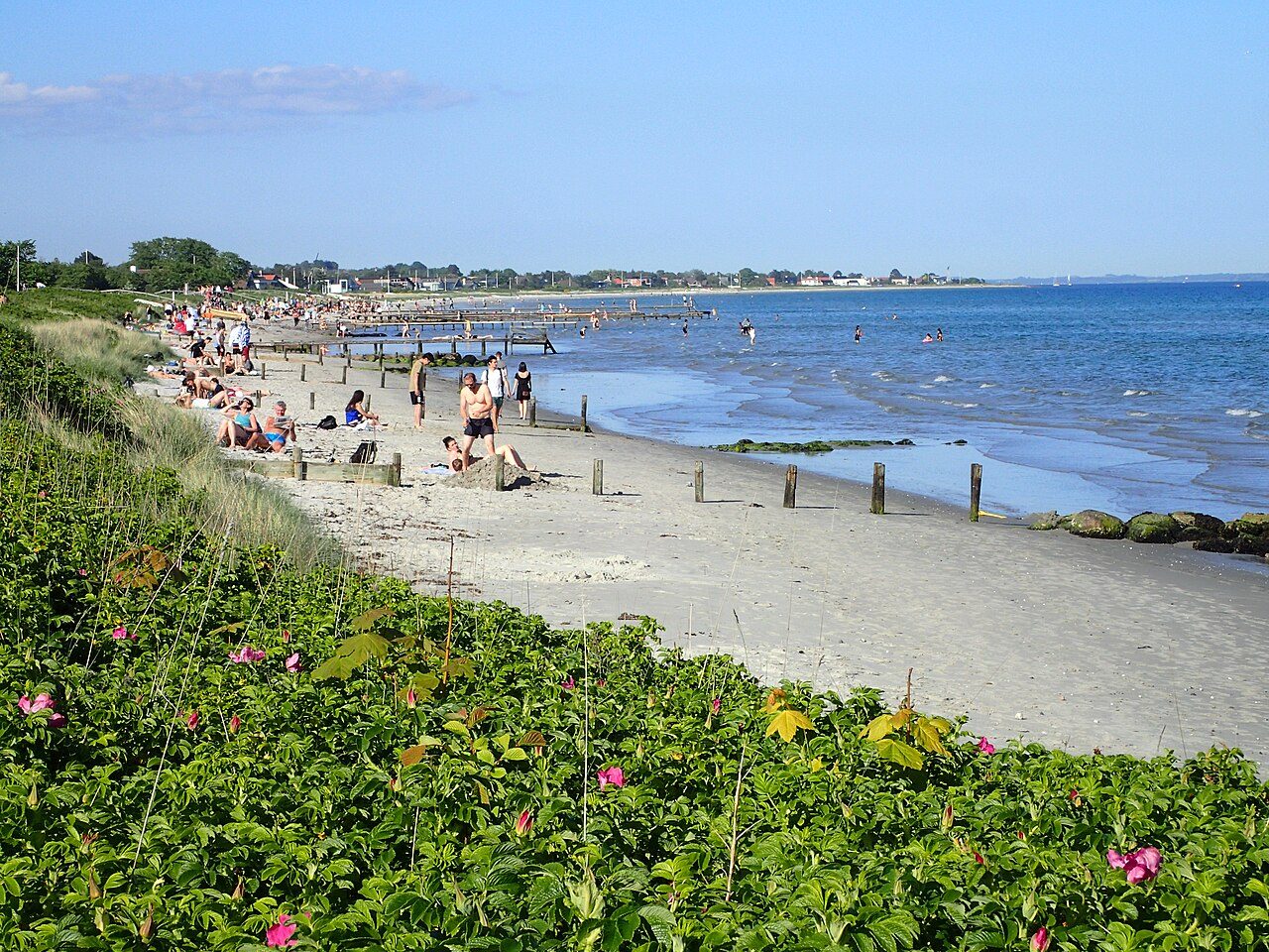Bellevue Beach