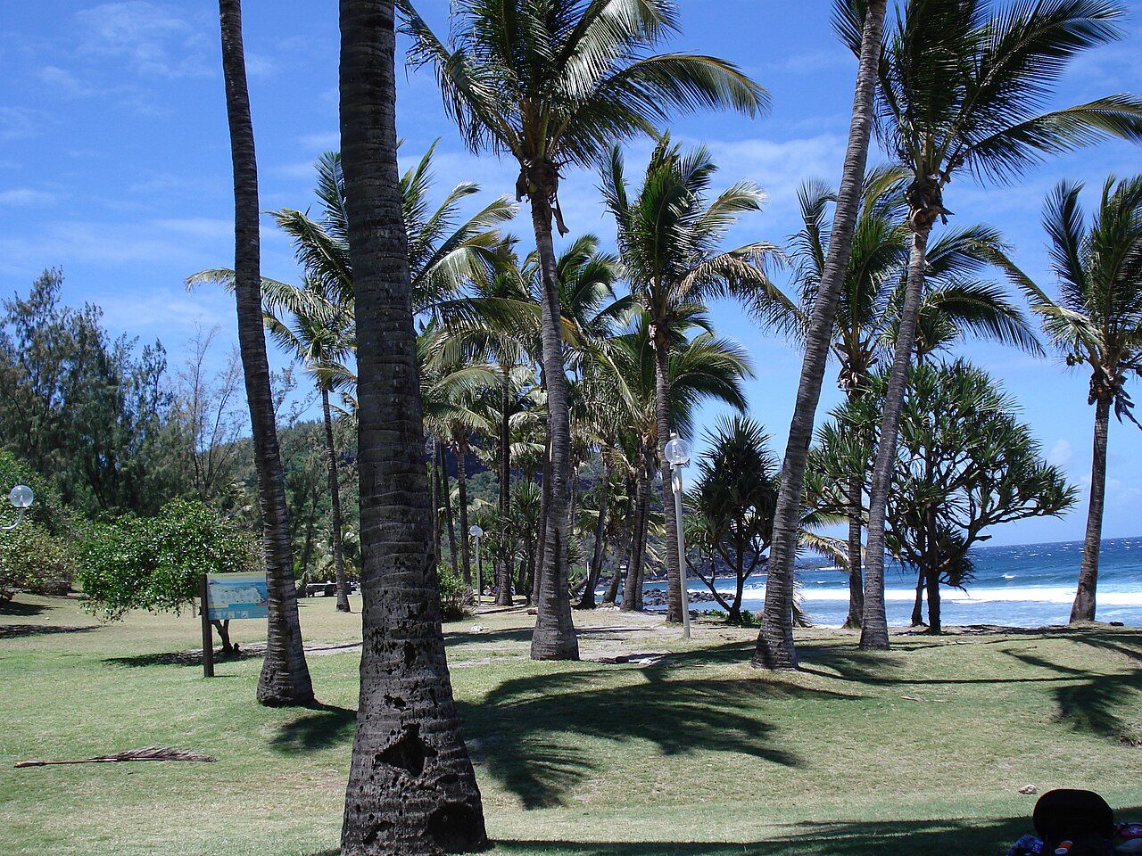 Grande Anse, Réunion