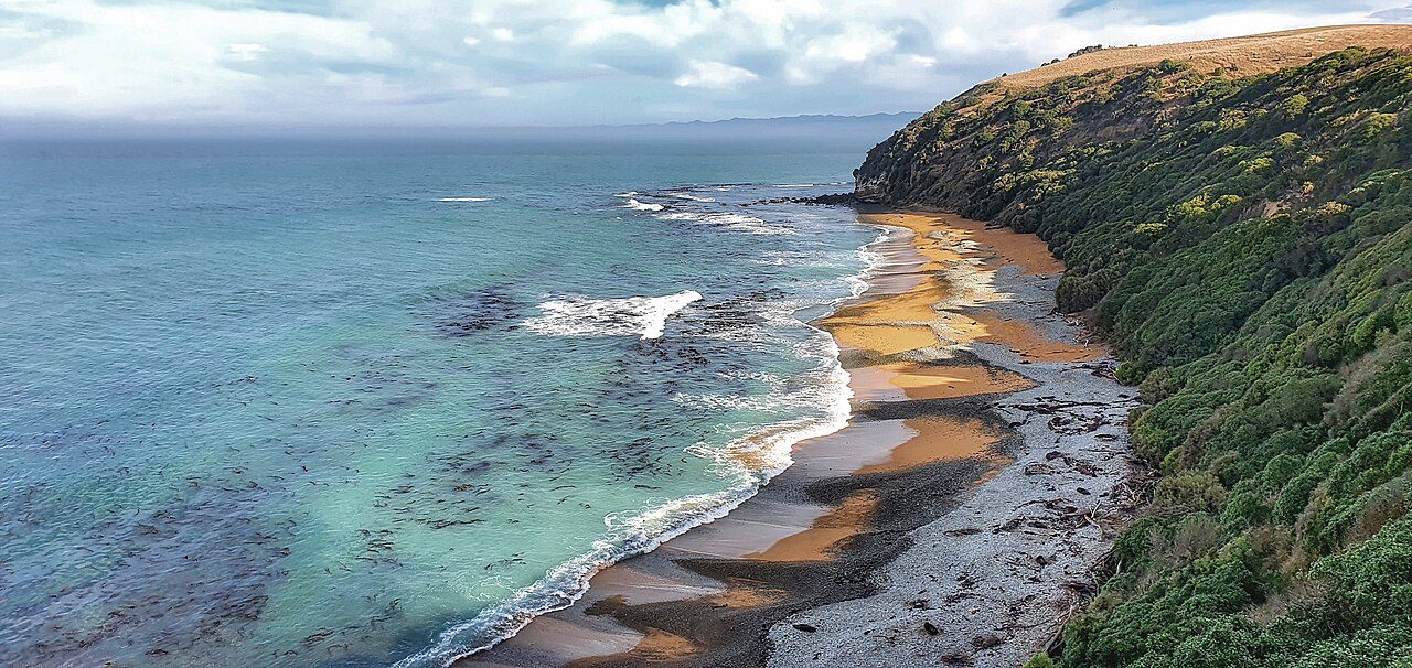 Bushy Beach