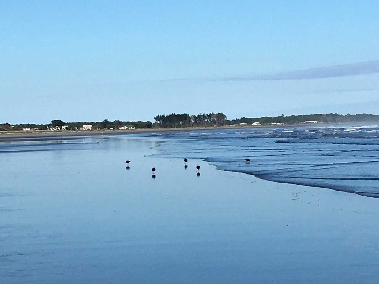 Carters Beach