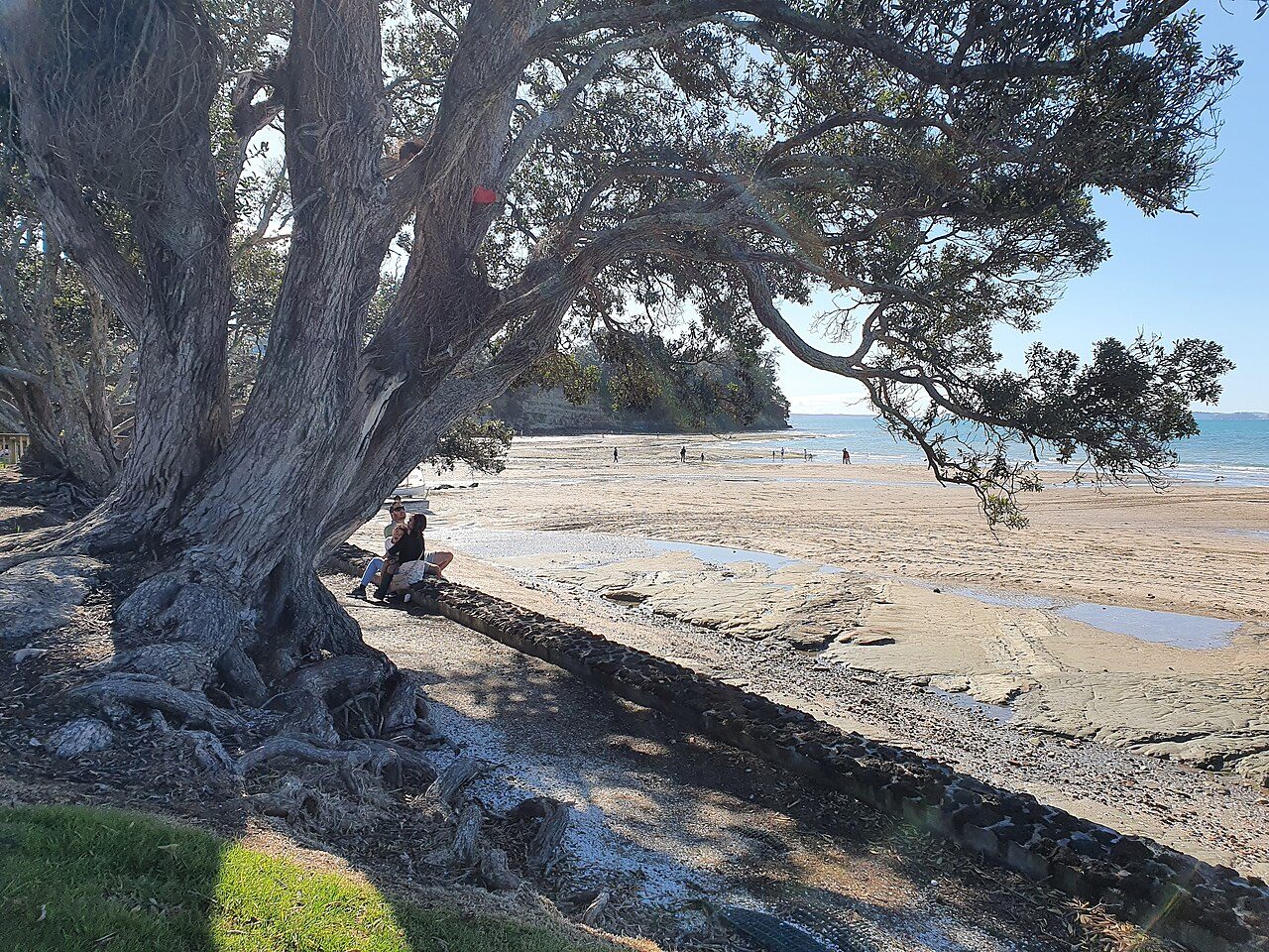Waipaparoa / Howick Beach