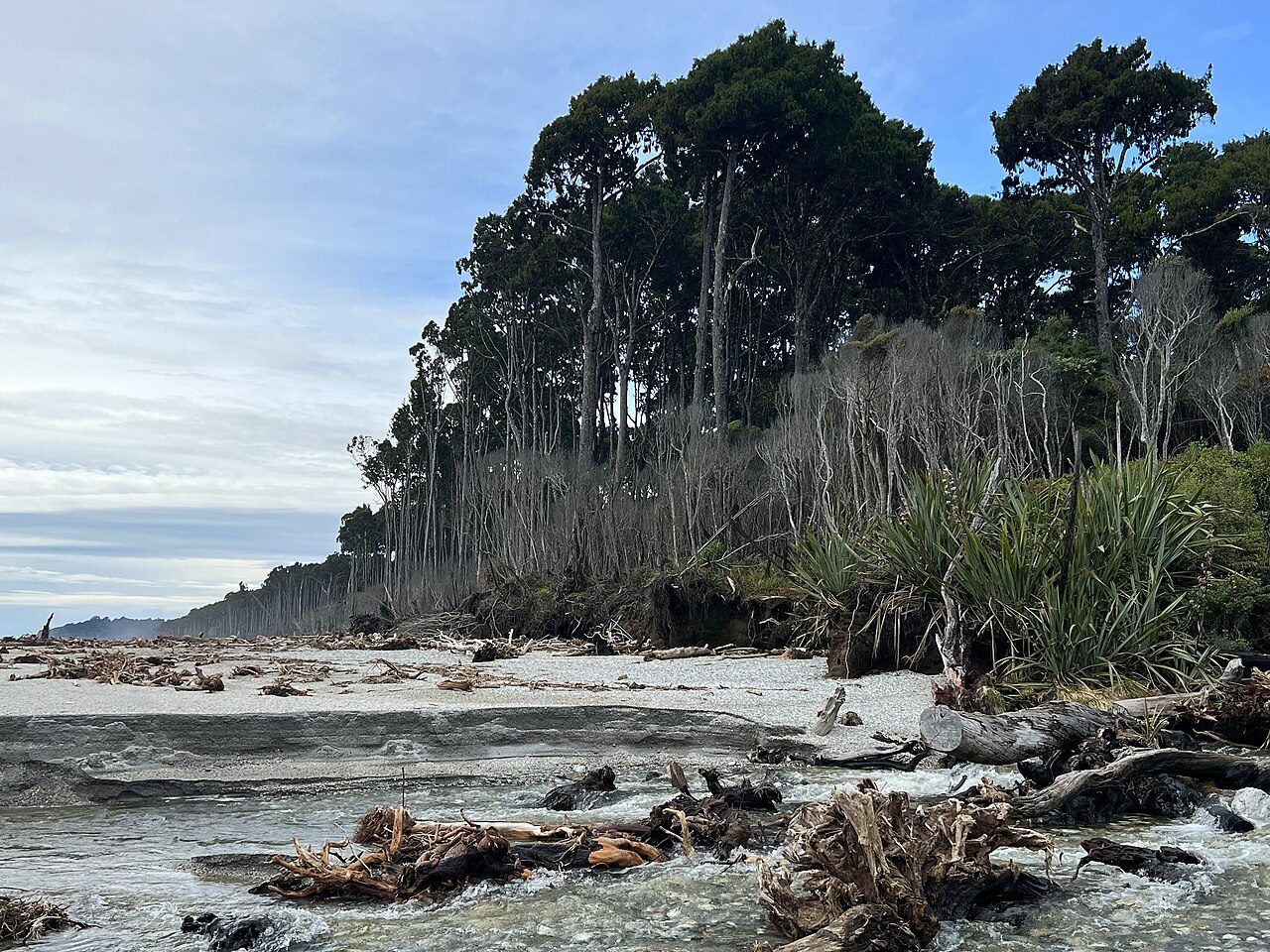 Maori Beach