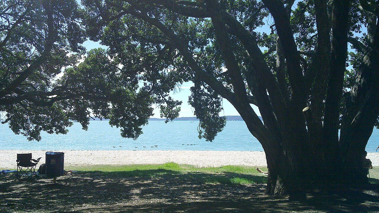 Ohinerangi Beach