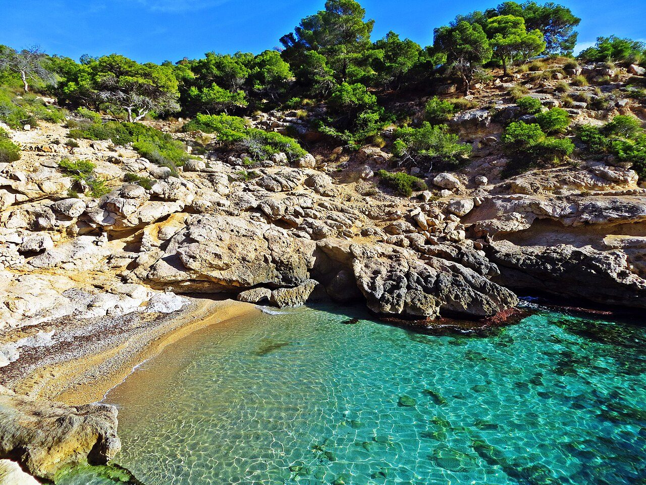 Racó del Conill