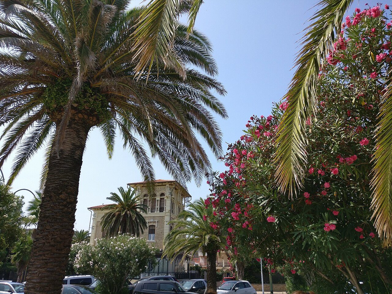 Riviera delle Palme