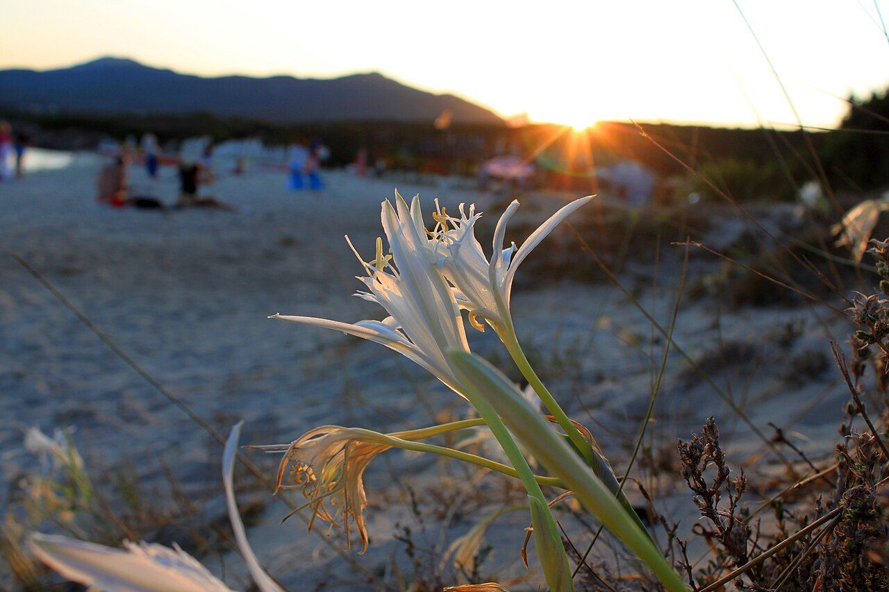 Spiaggia Bianca