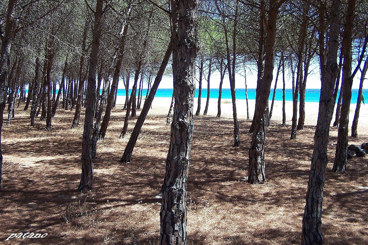 Spiaggia di Su Barone