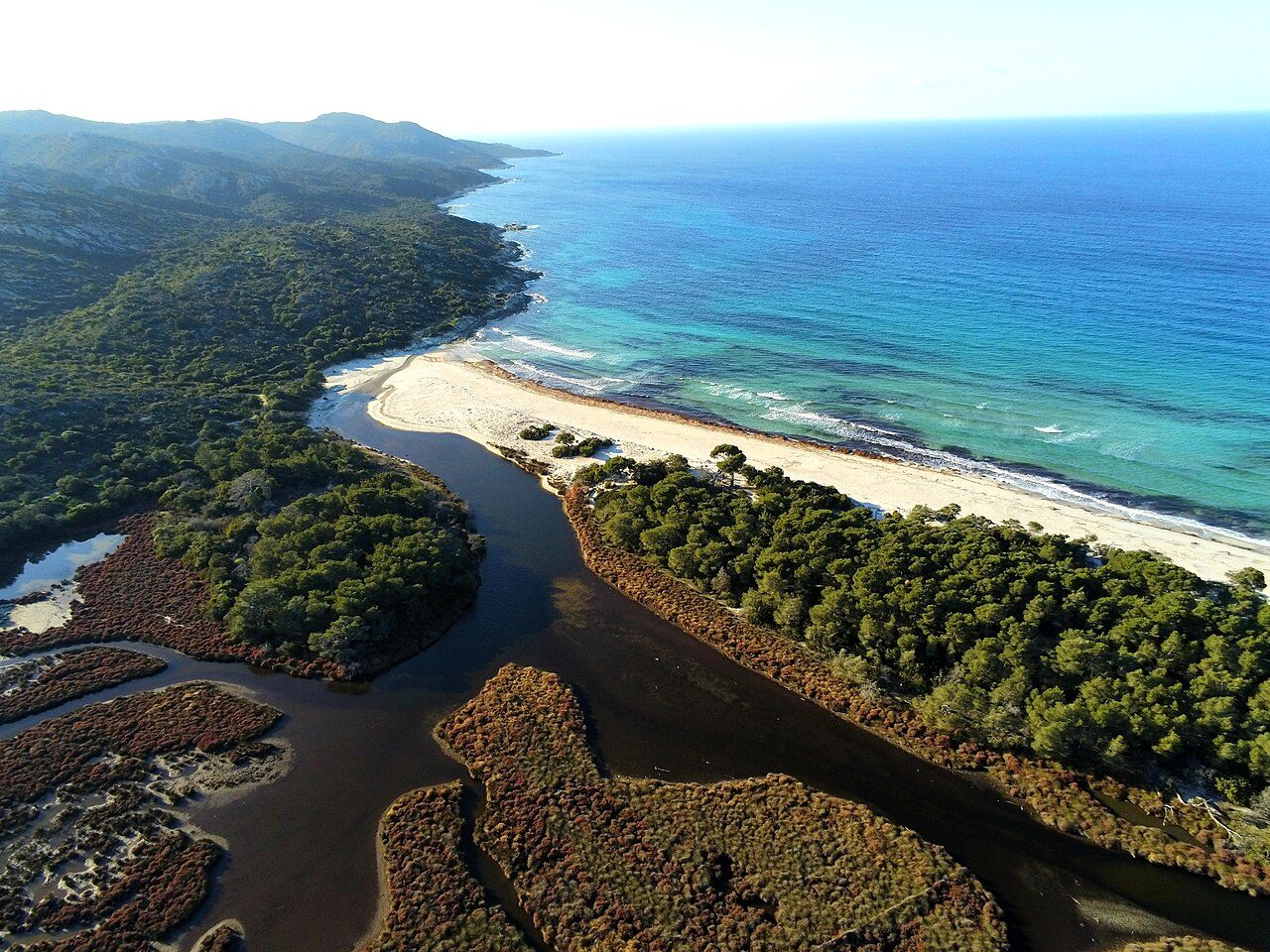 Saleccia beach