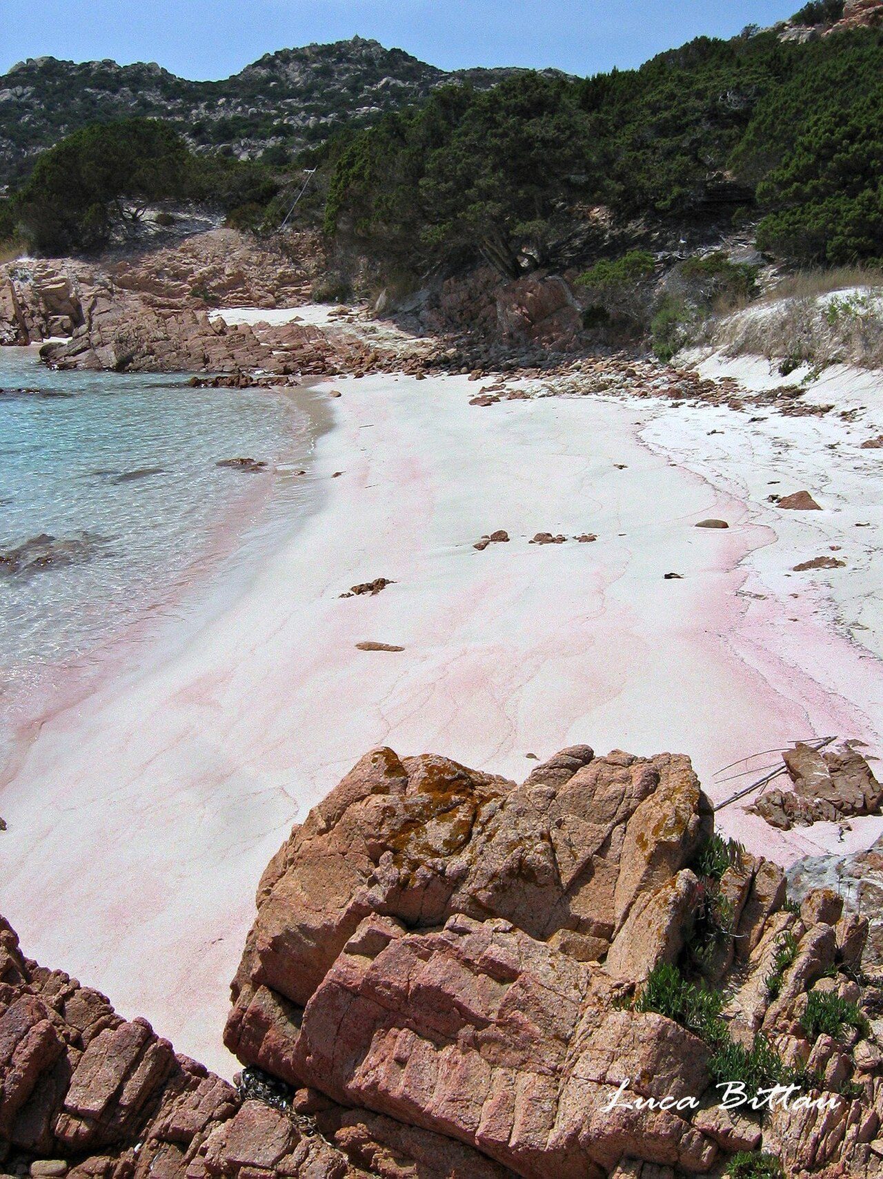 The Pink Beach