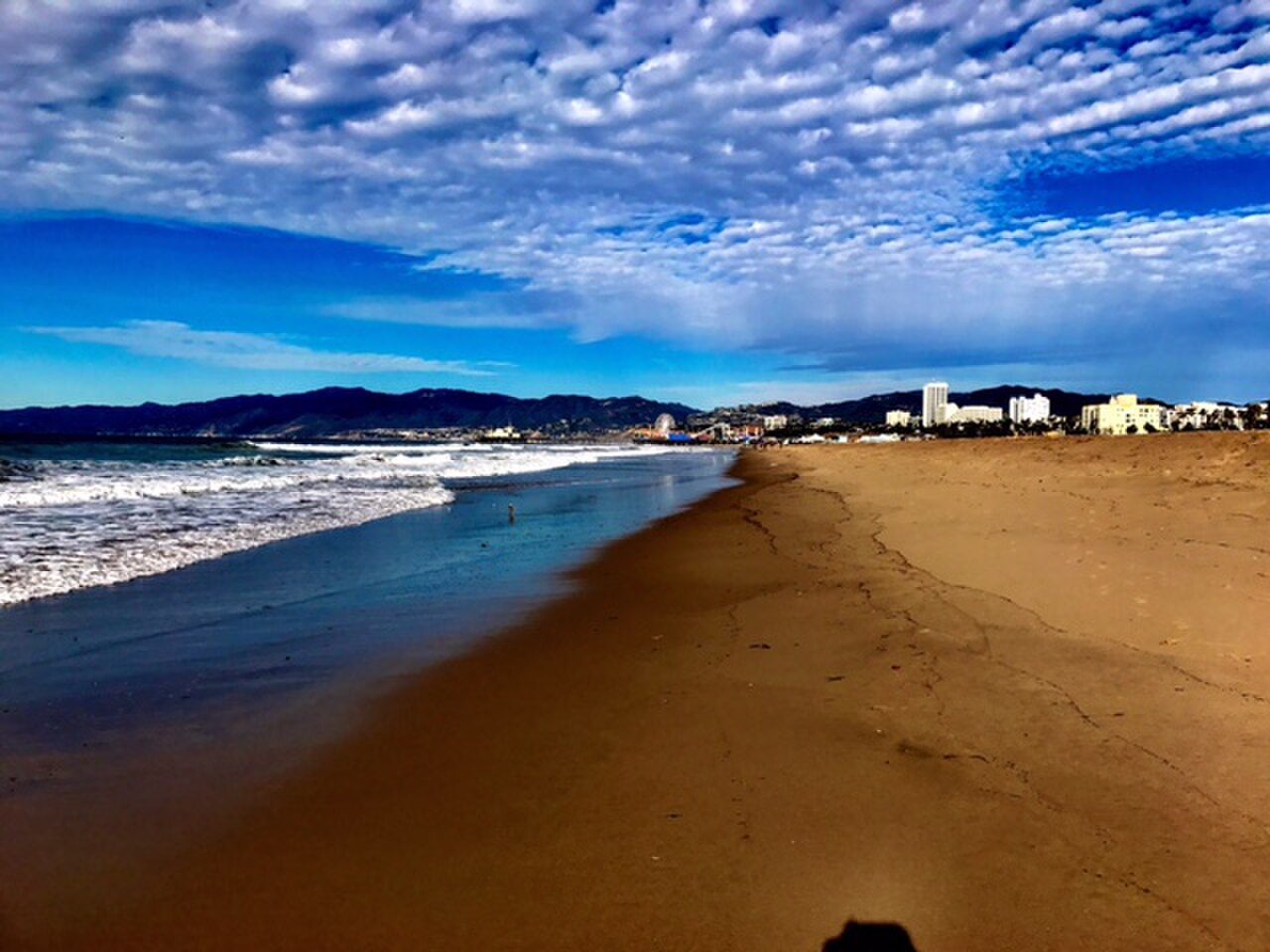 Ocean Park Beach