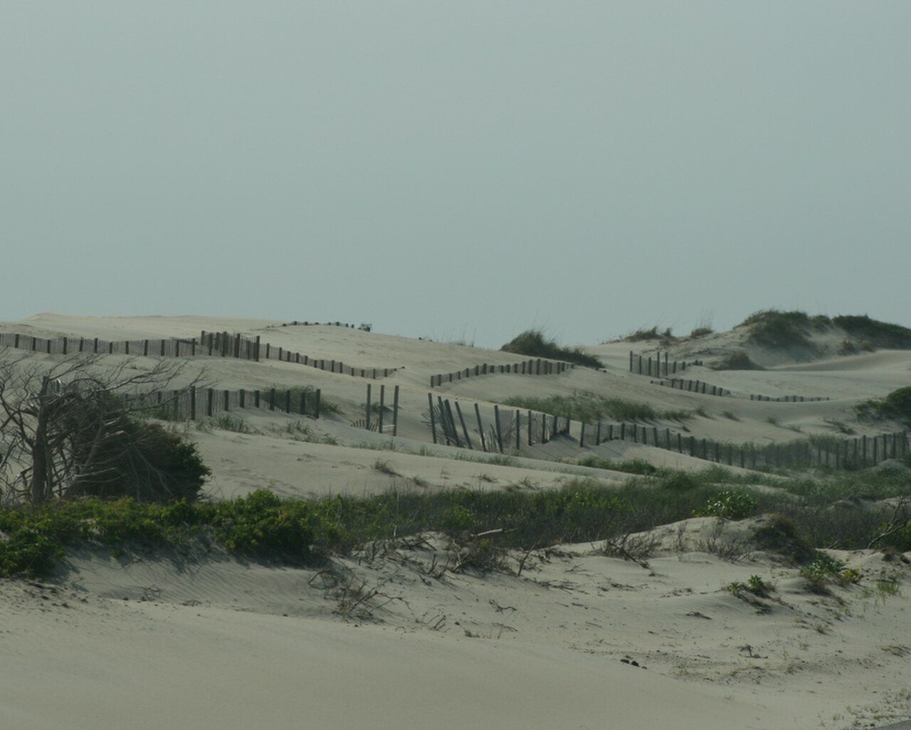 Pea Island