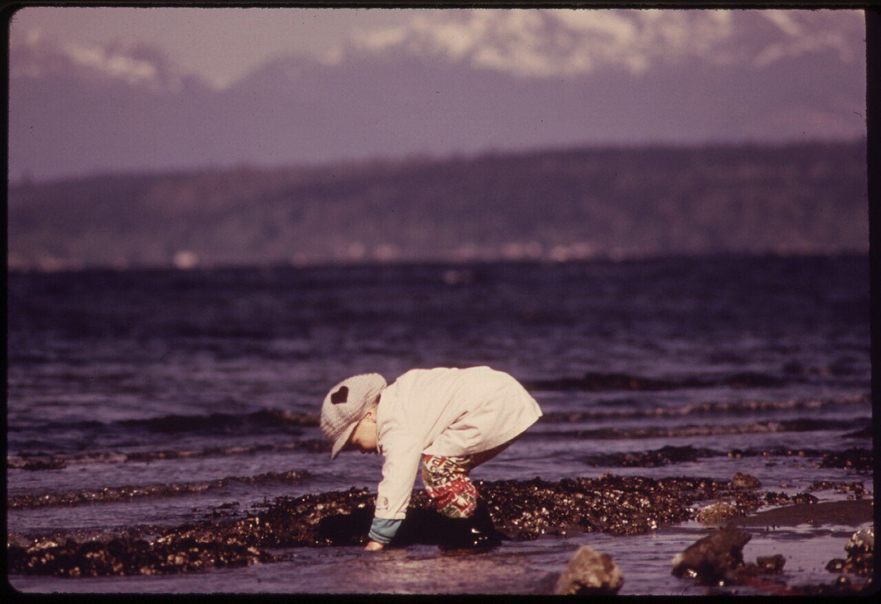 Alki Beach Park