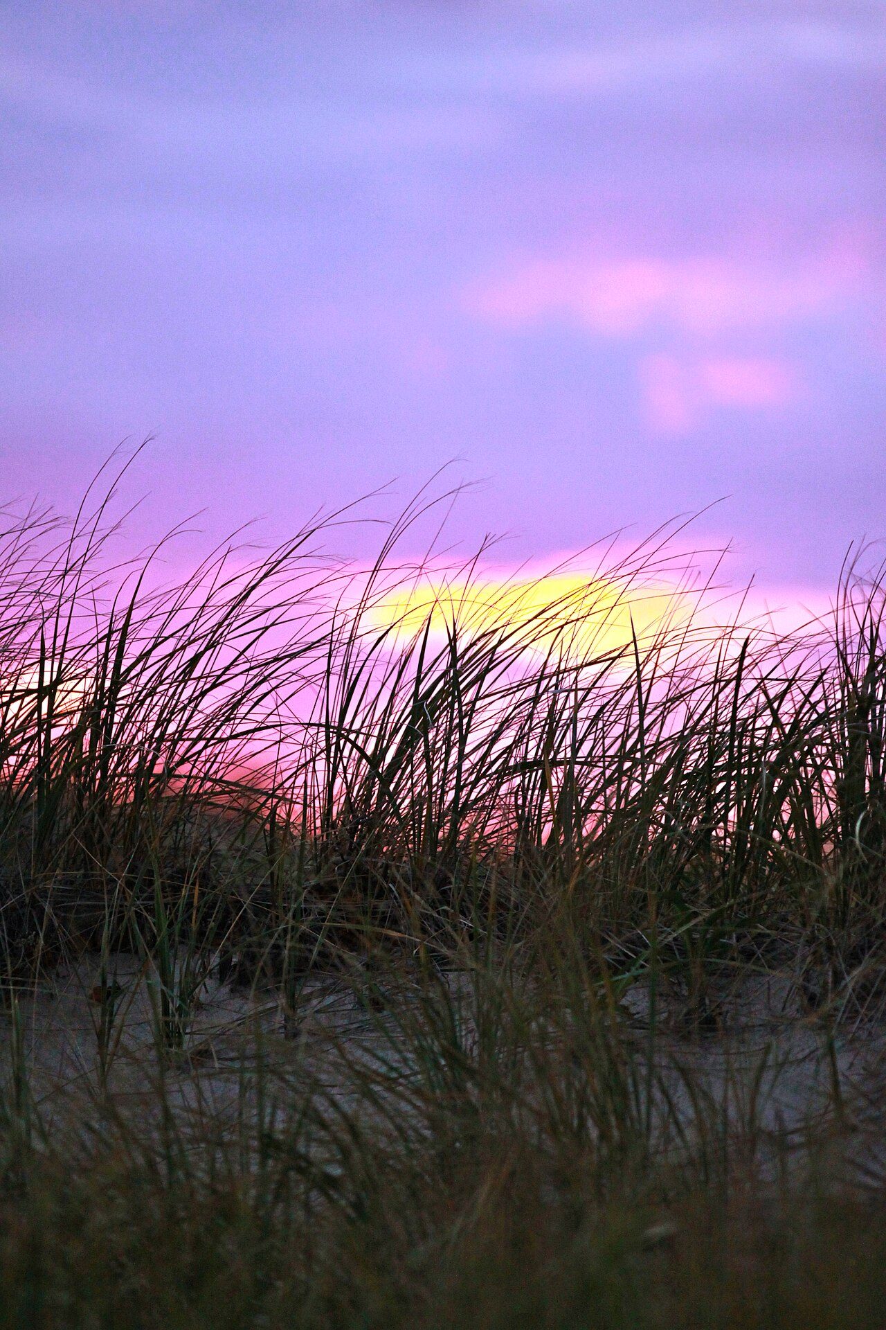 First Encounter Beach
