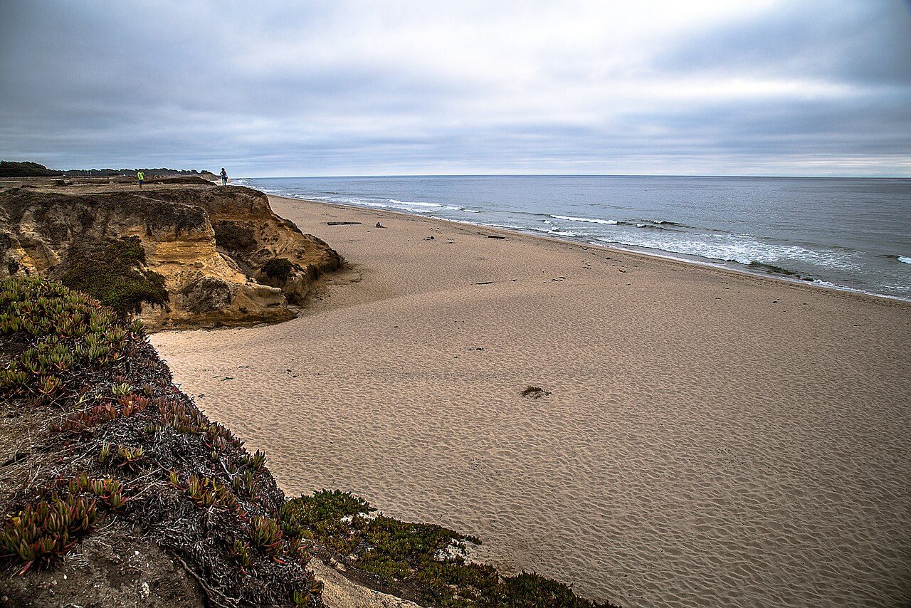Francis Beach