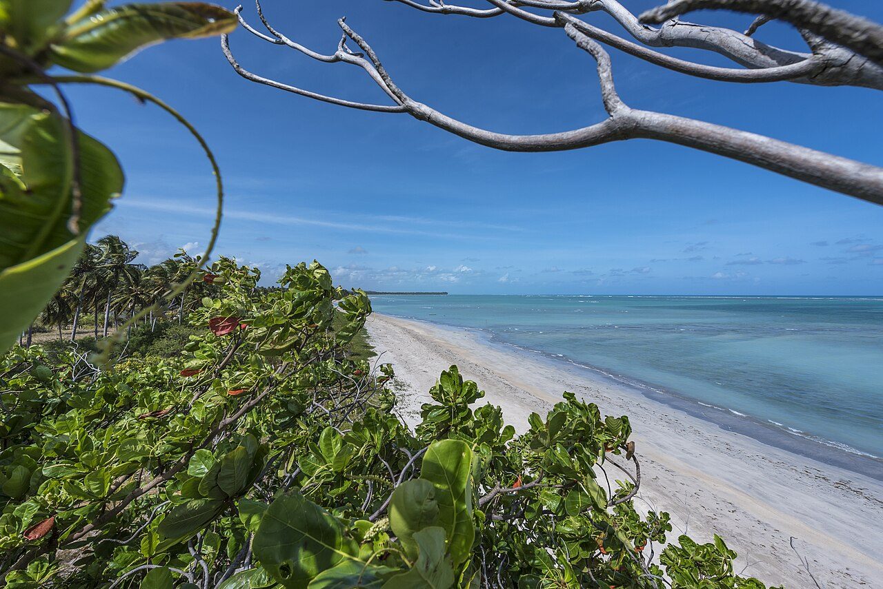 Patacho Beach