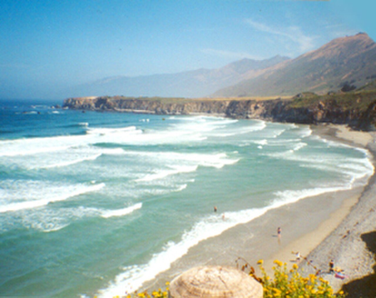 Sand Dollar Beach