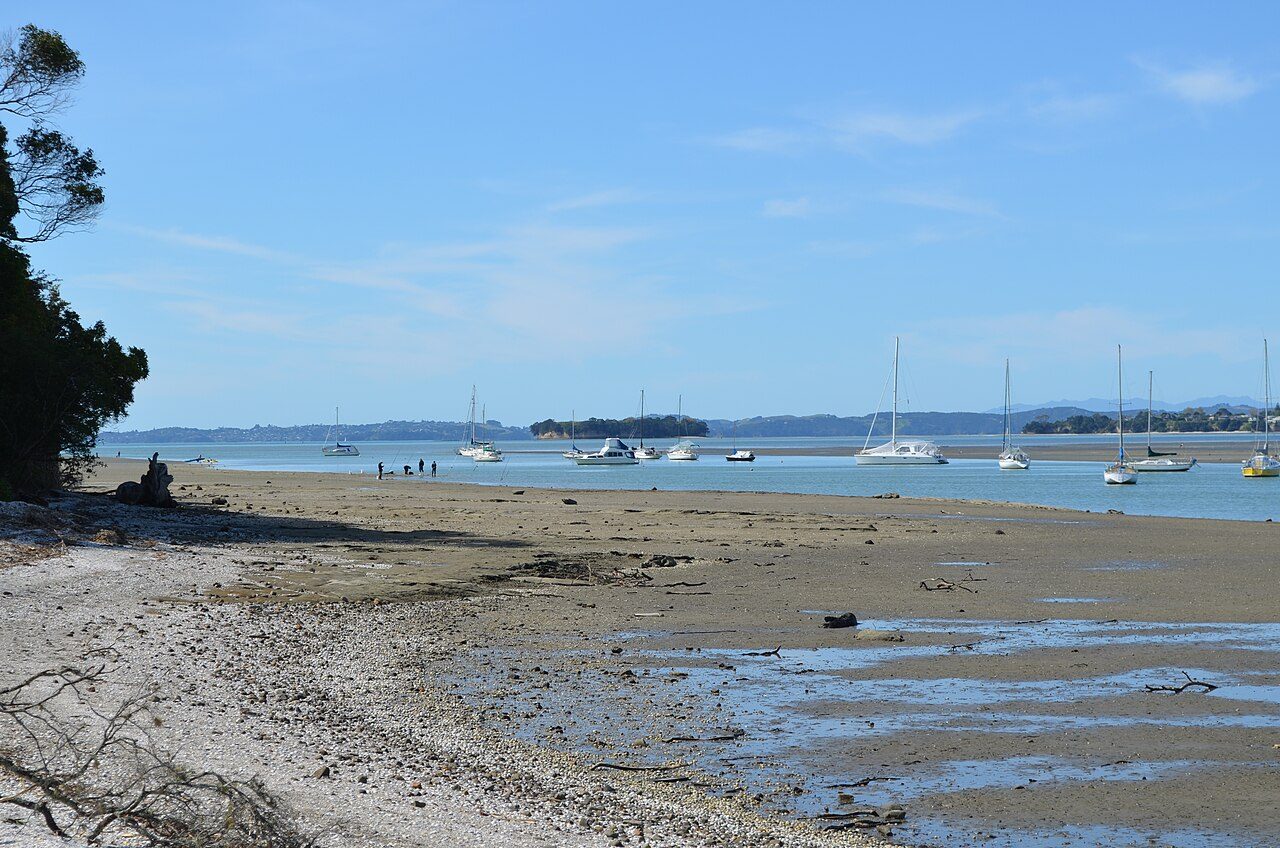 Shelly Park Beach