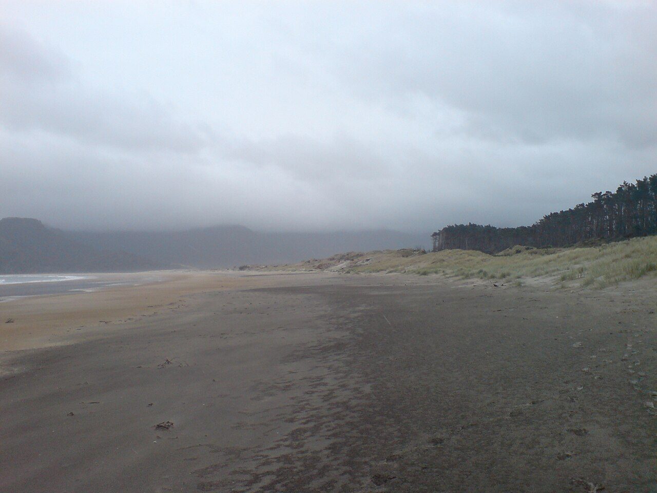 Whangapoua Beach