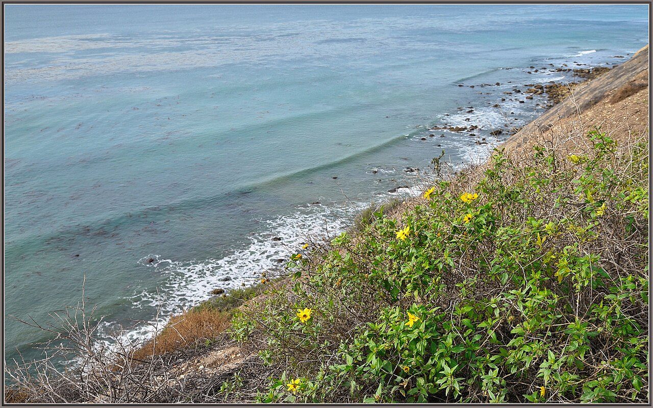 White Point Beach