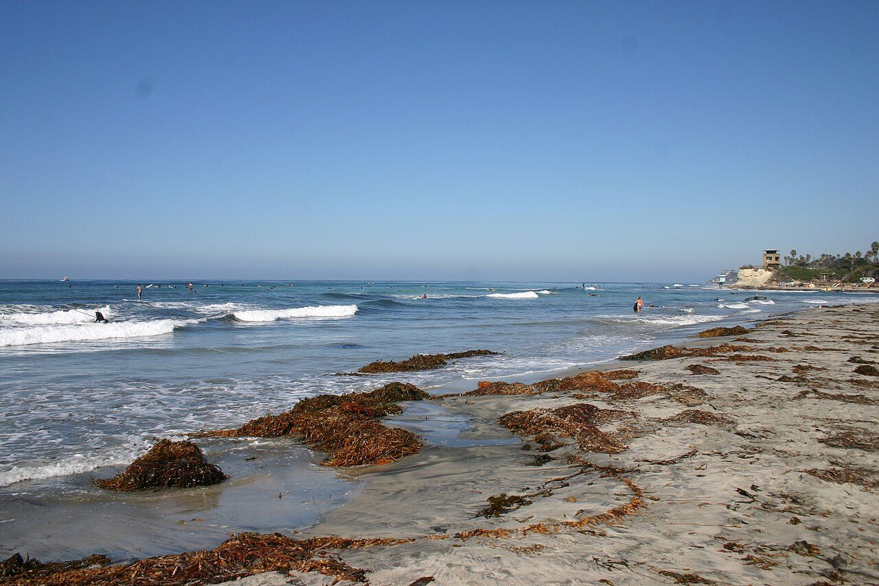 Cardiff State Beach