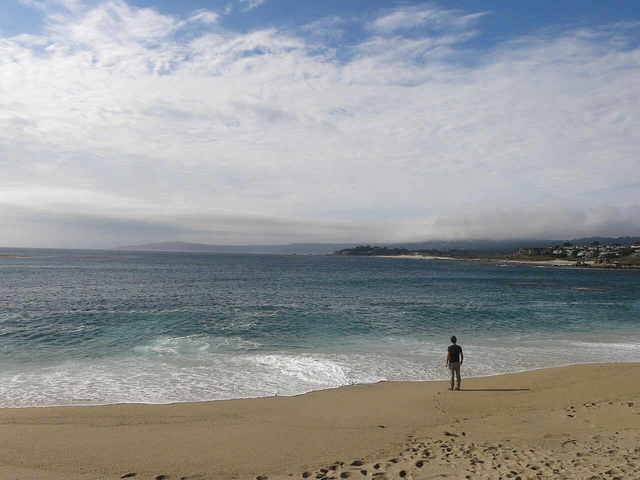 Carmel River State Beach