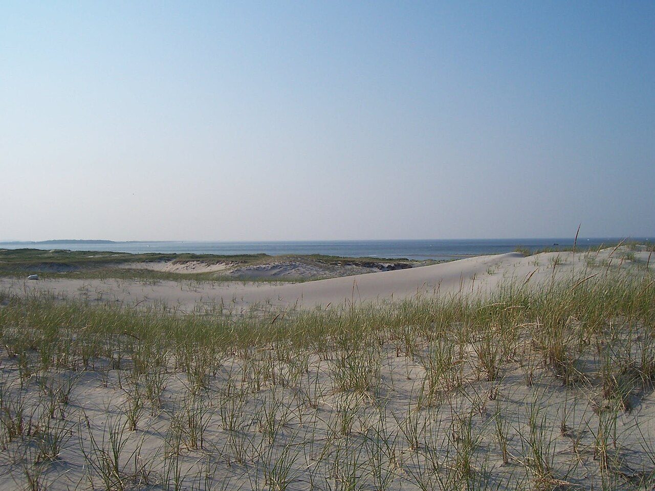 Crane Beach
