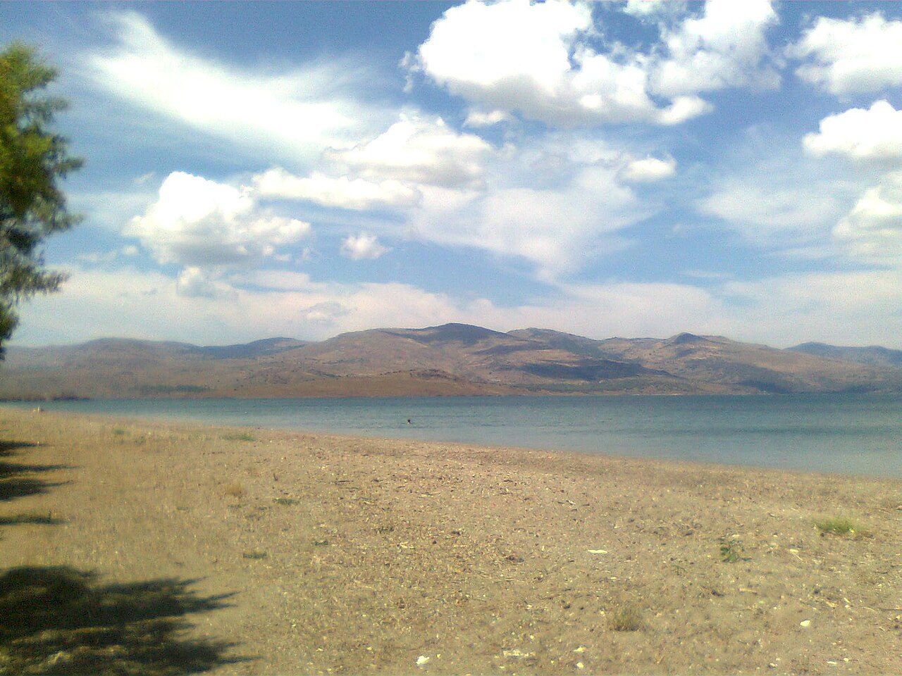 Nyfida
