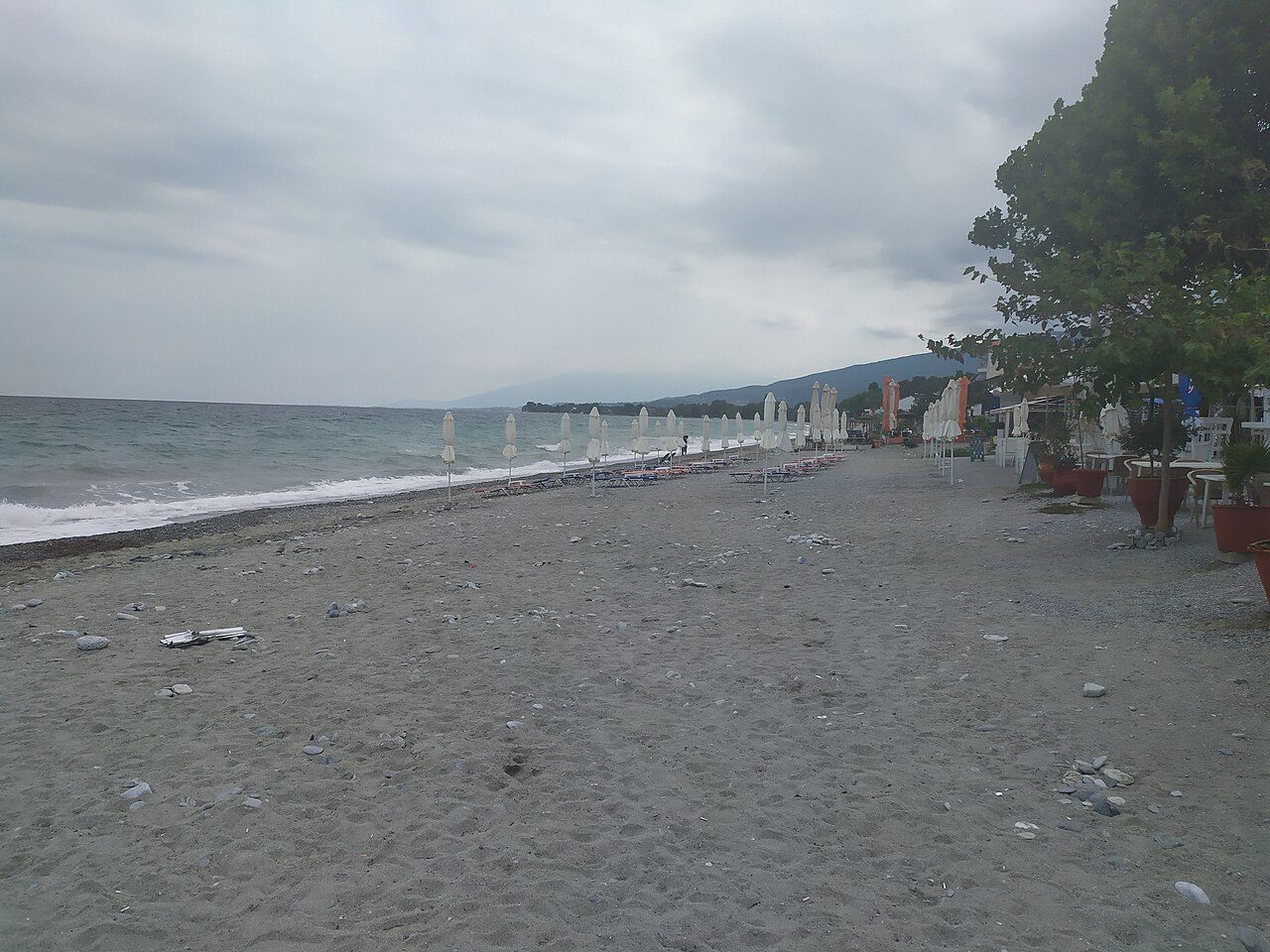 Leptokarya 1