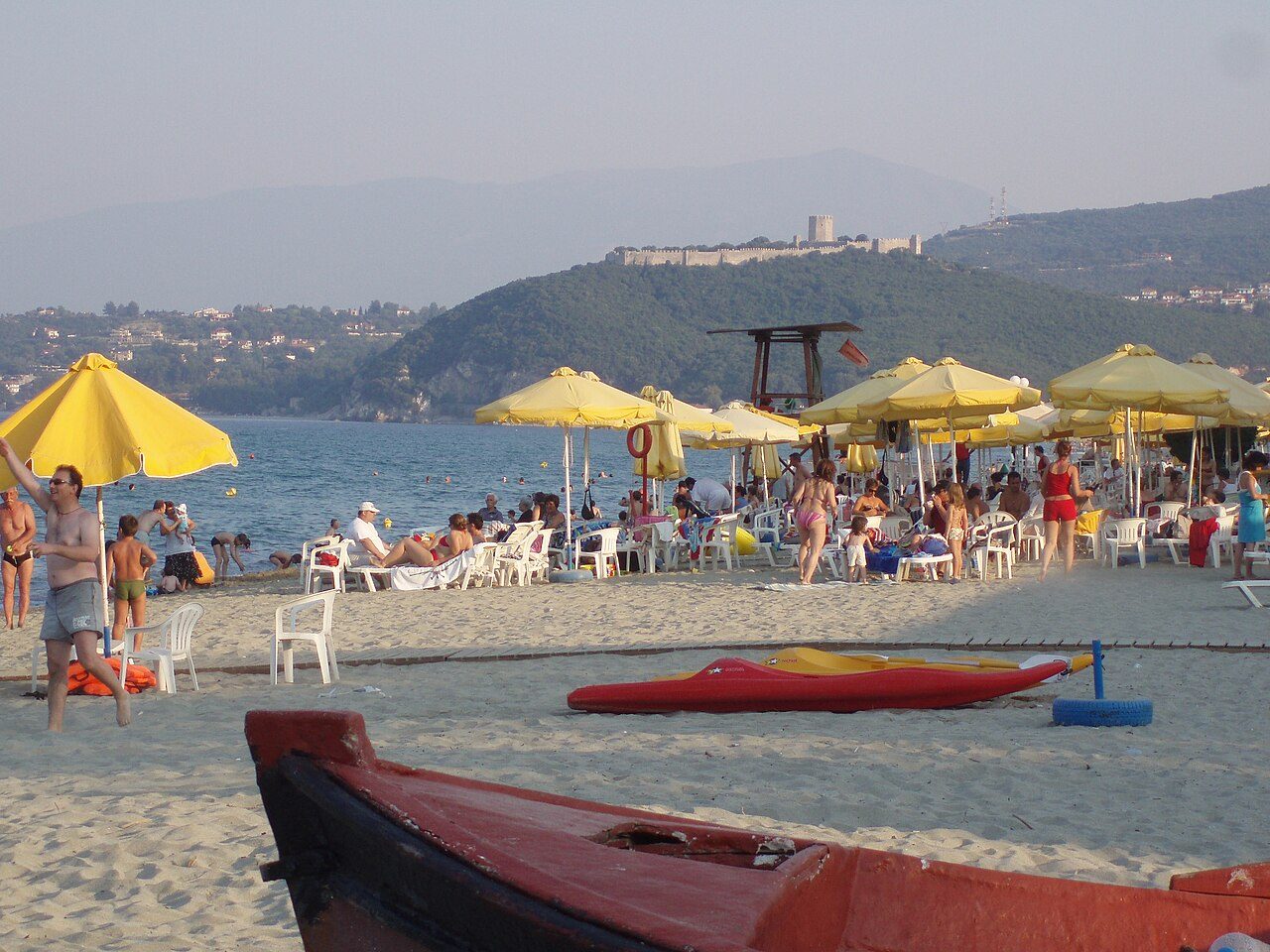 Skotina