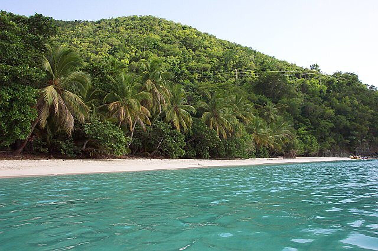 Gibney Beach
